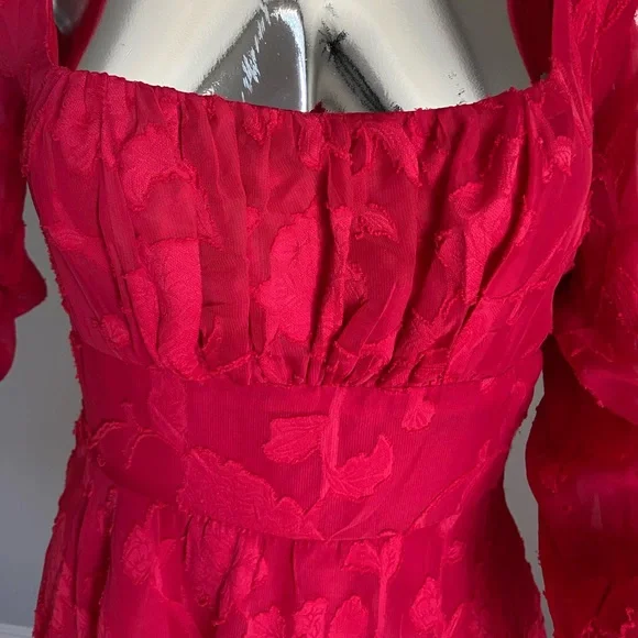 Sheer Lace Dress - Picture 4 of 6